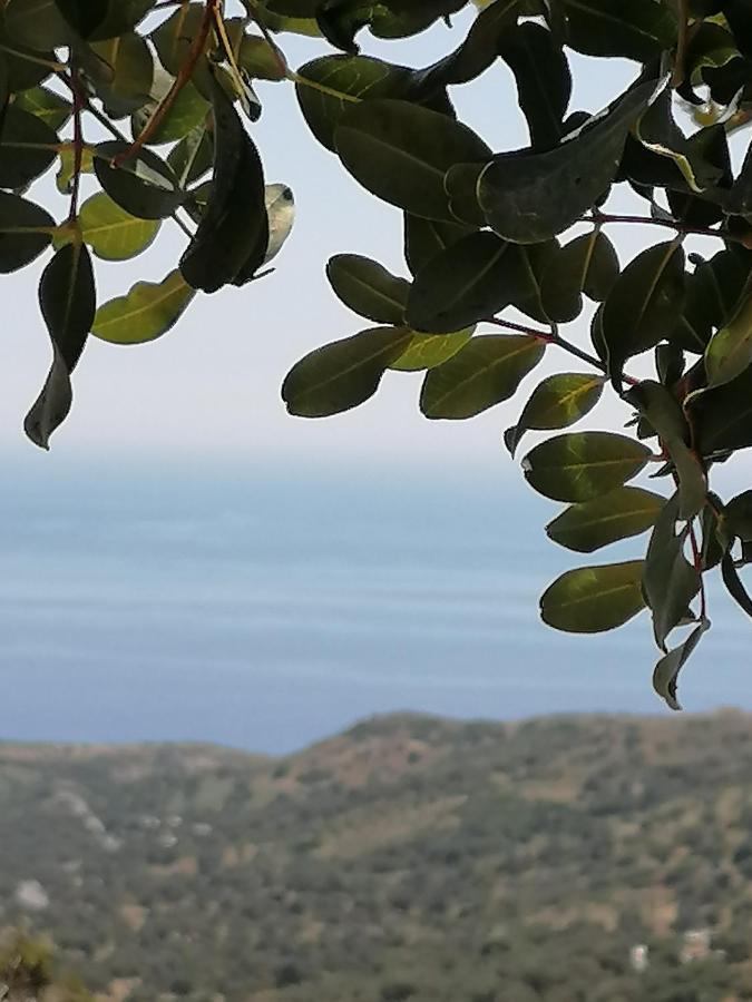 Villa Argyro Τριόπετρα Εξωτερικό φωτογραφία